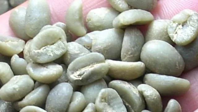 Walker Coffee Trading LP