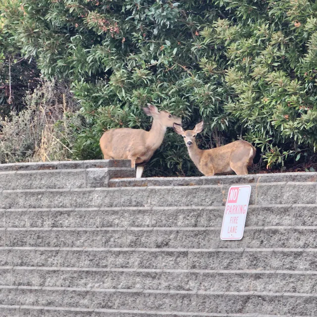 Contra Costa County - Martinez Health Center: Emergency Room