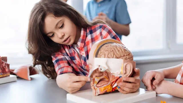 The Thinking Center of Sarasota