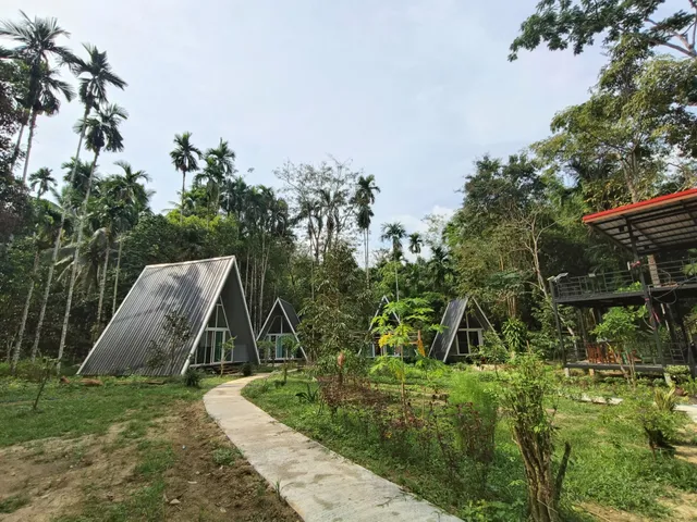 Ample forest Khaosok