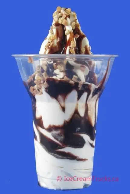 Mr. Iceberg Ice Cream Truck Toronto