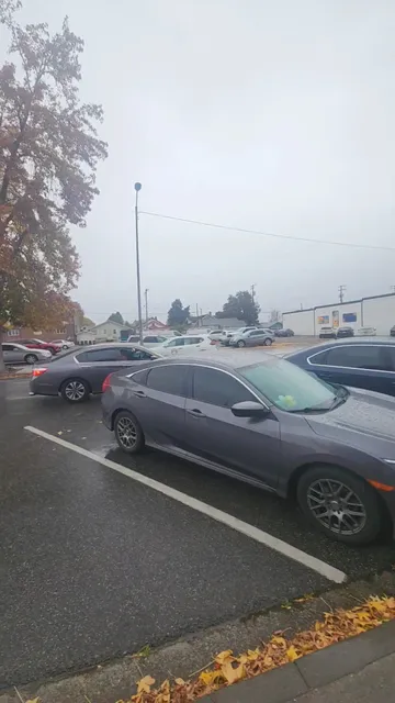 Lucky Leaf Co.- Downtown