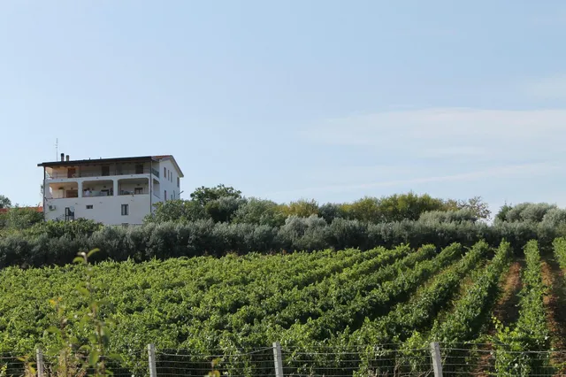 Agriturismo La Collinetta