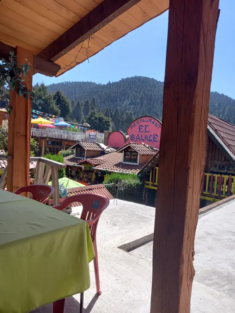 Restaurante El Sauce