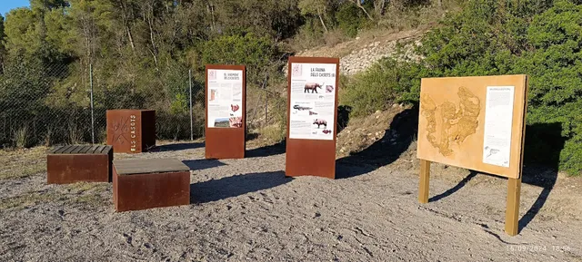 Jaciment Paleontològic Els Casots