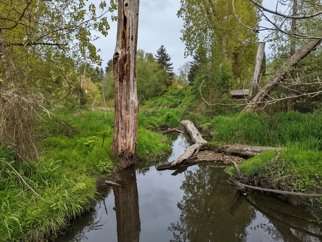 Beaver Pond Natural Area