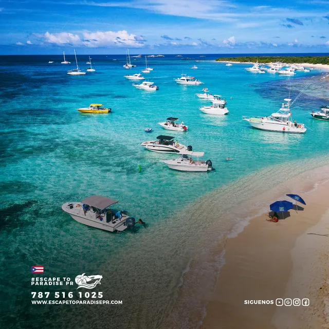 Escape To Paradise PR