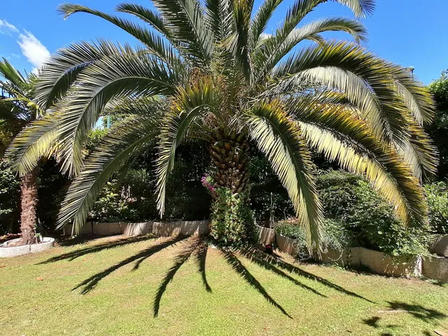 Terrazza Sugli Ulivi Apartment