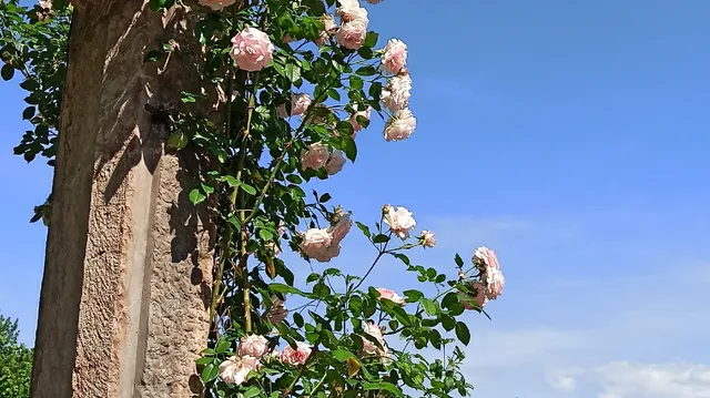 Lohener Hof Familie Gastager