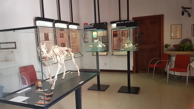 MUCBO | Museu Balear de Ciències Naturals