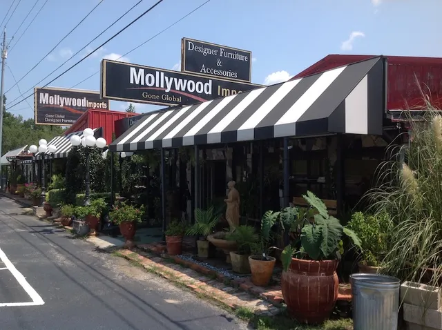 Mollywood Furniture