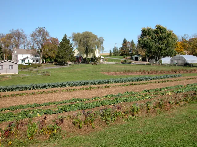 Homefields | Homefields Care Farm