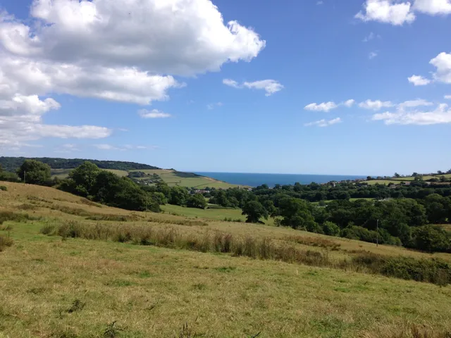HOGCHESTER FARM - Conservation site with wildflower meadows