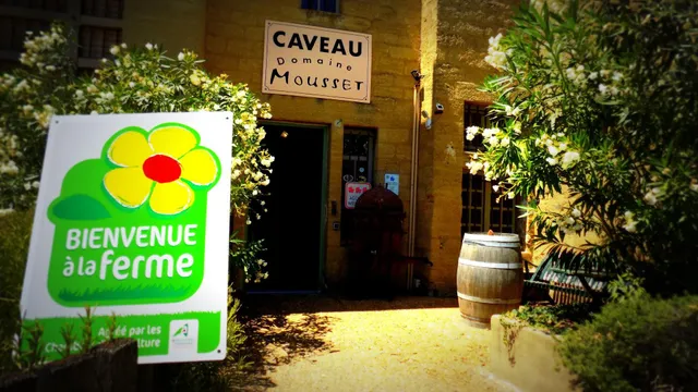 Les Caves Du Château Des Fines Roches DOMAINES MOUSSET