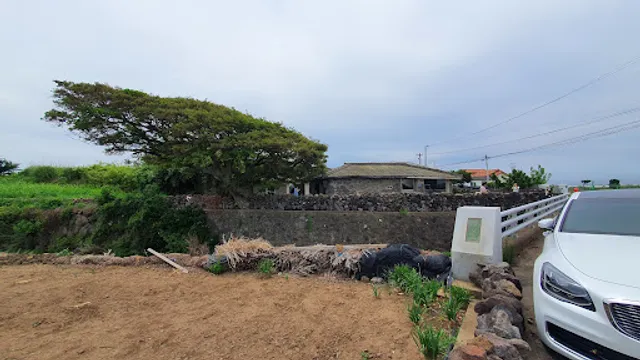 Coffee Nap Roasters Jeju