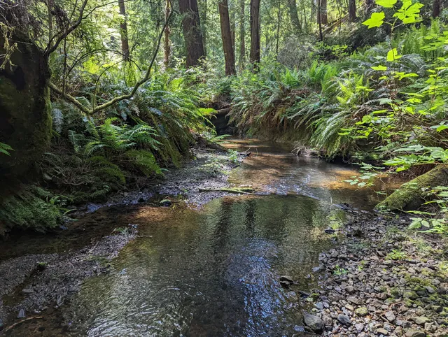 North Trail Trailhead