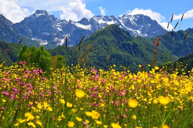 Tourist Farm Žibovt