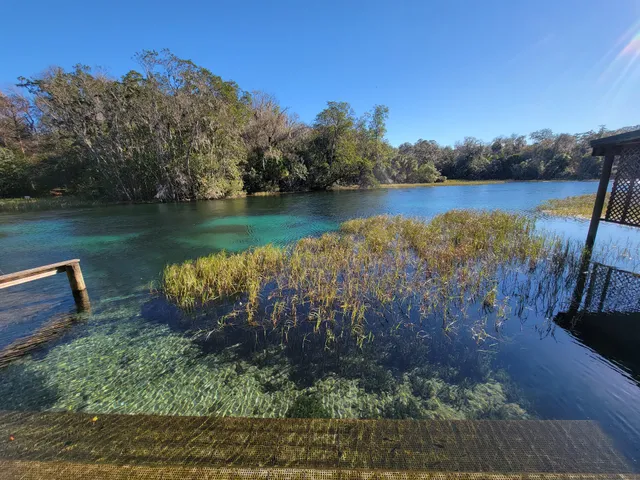Visit Rainbow Springs