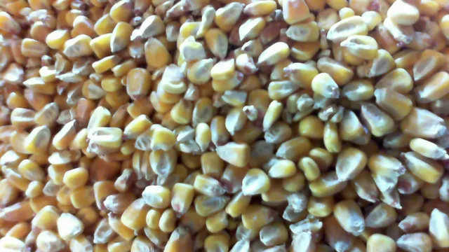 Floodwood Farm & Feed