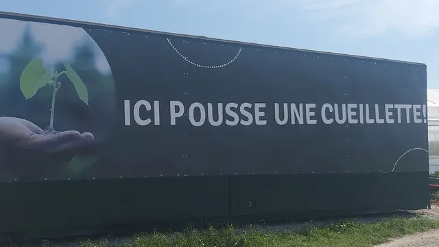 La cueillette d'Amiens