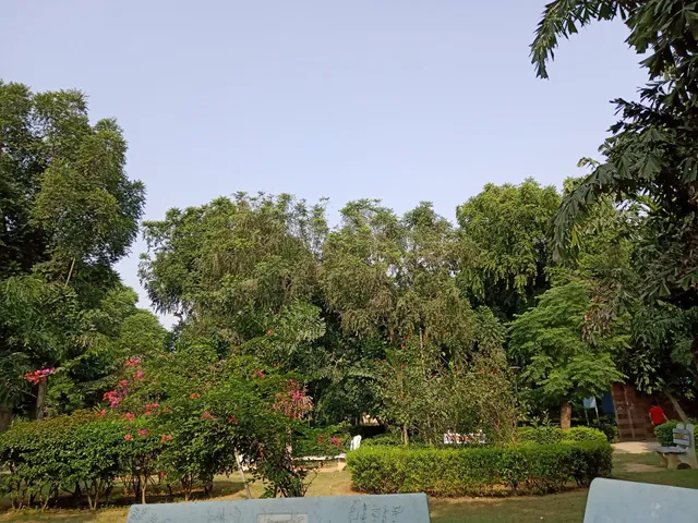 Nehru park