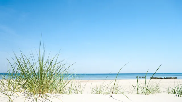 Beach Therapeutic Massage-Spa