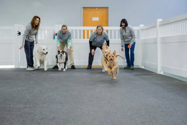 The Dog House Doylestown