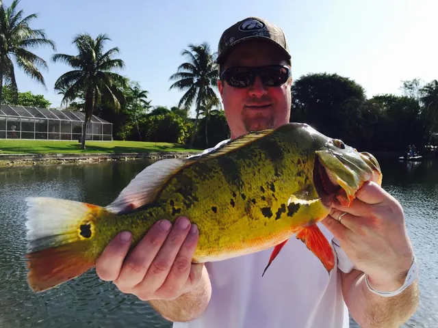 Florida Peacock Bass