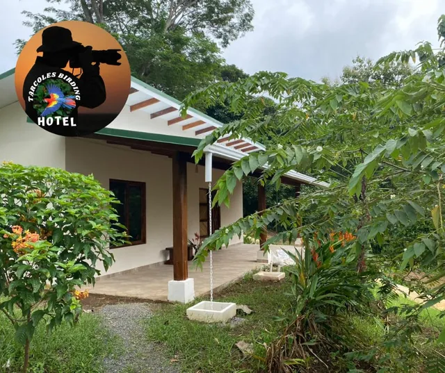 Tarcoles Birding Hotel