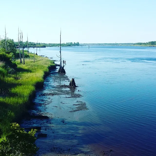 Cape Fear River