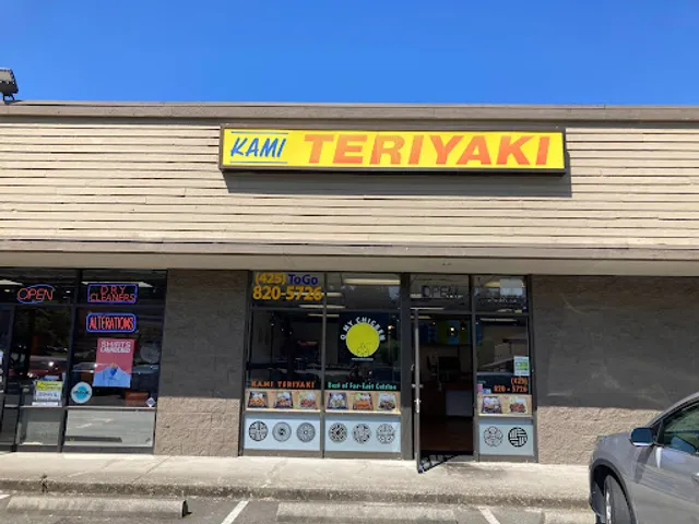 KAMI TERIYAKI + O MY CHICKEN