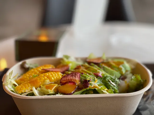 SOLTREE سولتري