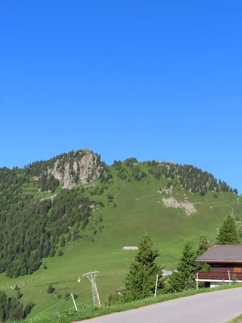 photo-1