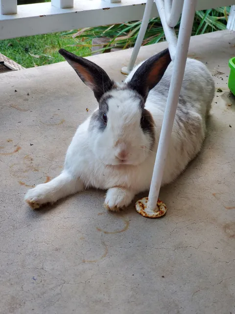 Inspire Farms Happy Healthy Organic