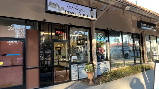 Selwyn Jewelers Inc