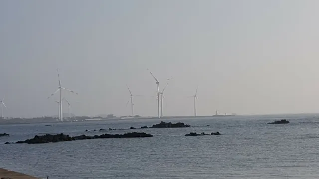 두모어촌계횟집