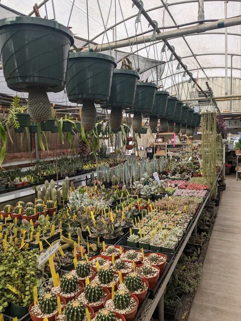 Poot’s Cactus Nursery