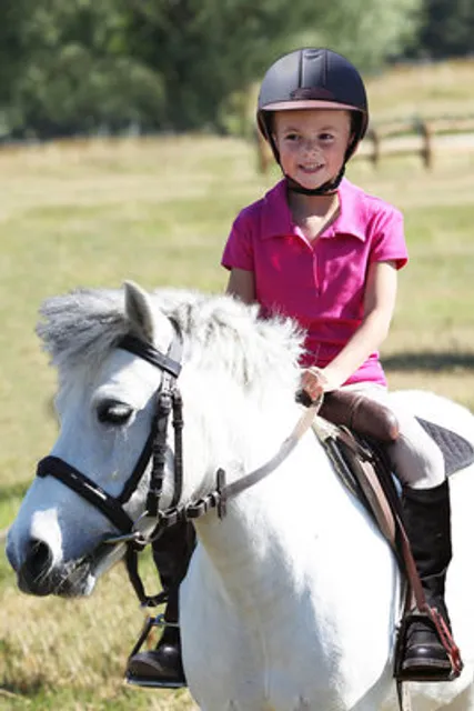 Stables De Jeand'heurs