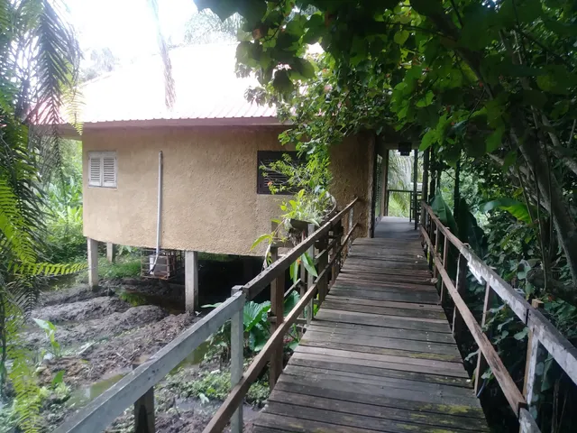 Freeland Indaba Kribi