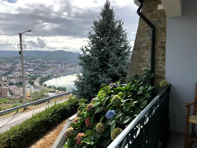 Mito's House & Douro View