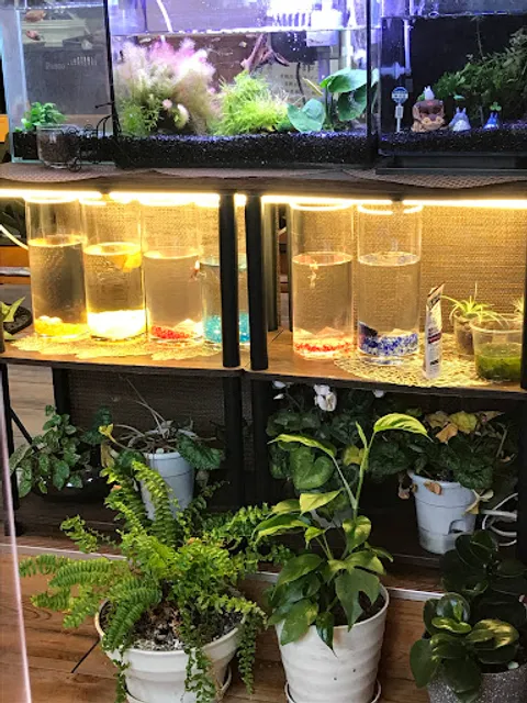 サウンドウィッチハウス やまびこ