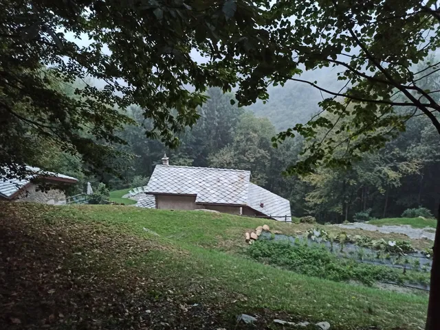 RIFUGIO nel Bosco di ALICE