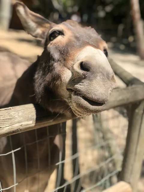 Le Petit Paradis De Vendargues