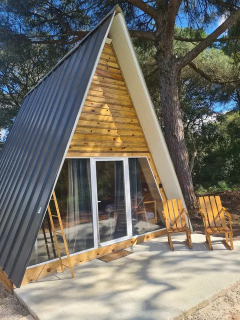 Falcoaria Santa Efigénia