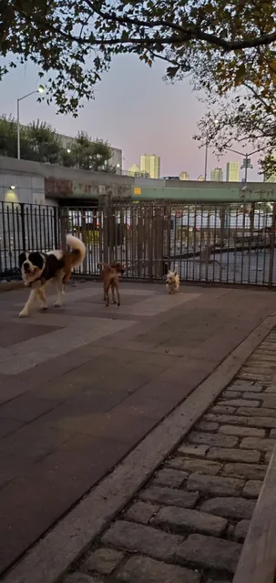 Robert Moses Dog Run