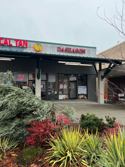 Shoreline D4 SEASON Head Spa