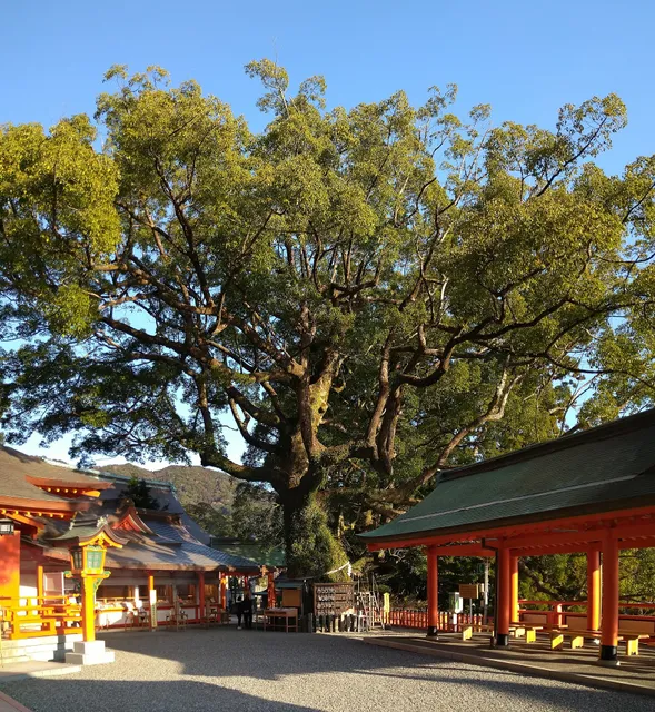 Shorei-sha Shrine Tainai-Kuguri (Narrow Sanctified Cavern)