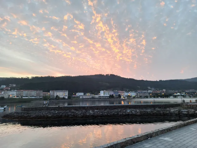 Apartamentos sapoconcho