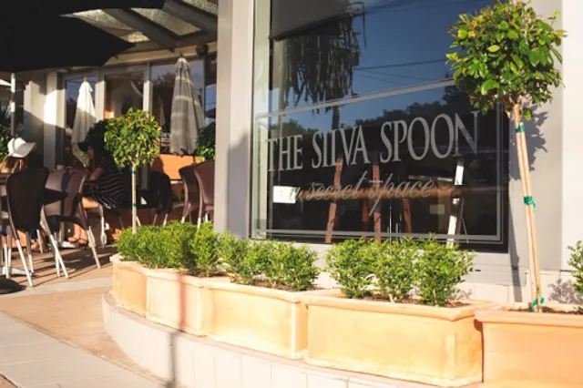 The Silva Spoon