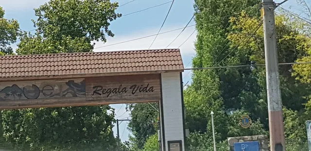 Paraíso de Olmué - La Araucana